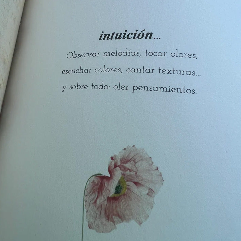 Libreta Intuición 21,5 cm x 14,5 80 hojas