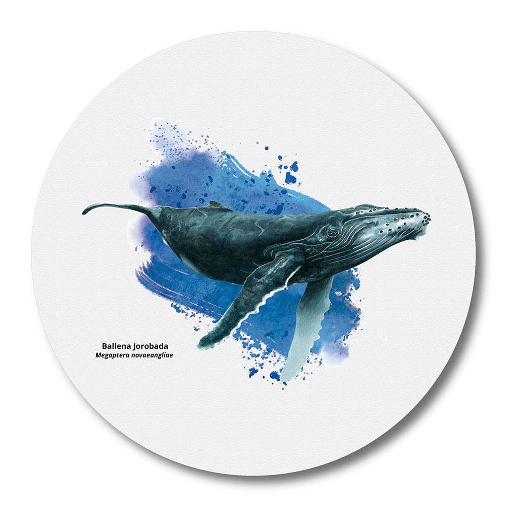 Mousepad Ballena Jorobada