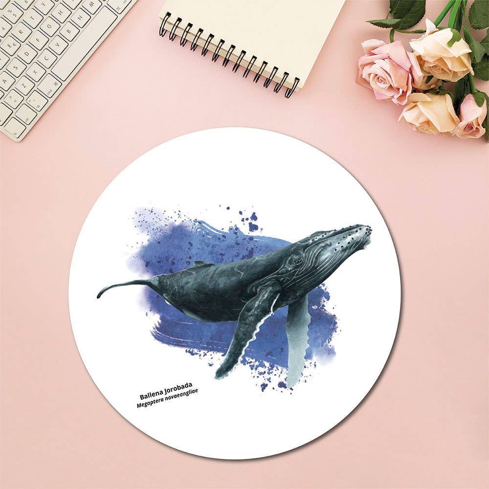 Mousepad Ballena Jorobada