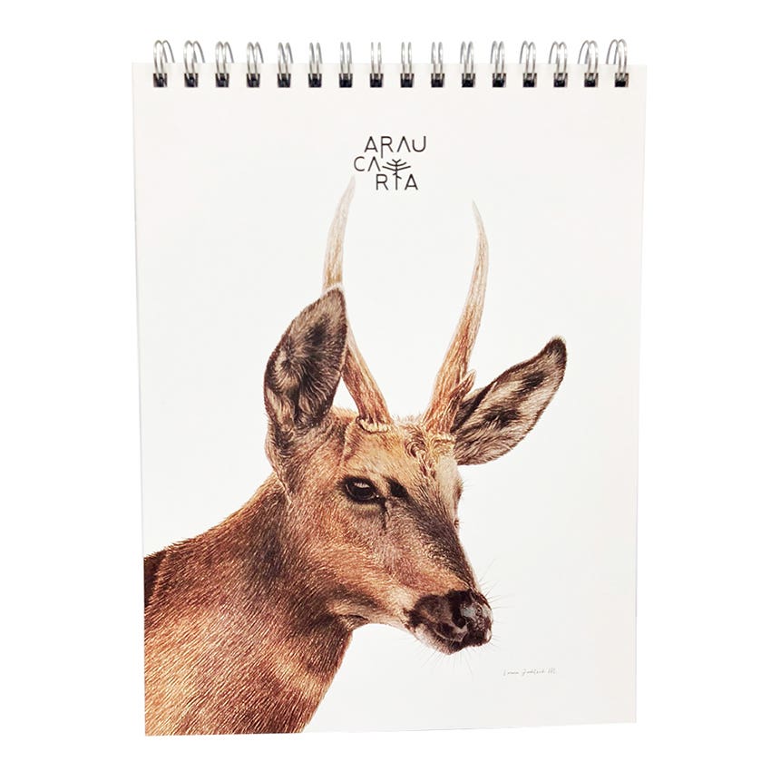 Croquera Car. 21,2x28cm Huemul Araucaria Artel Nacional Librería