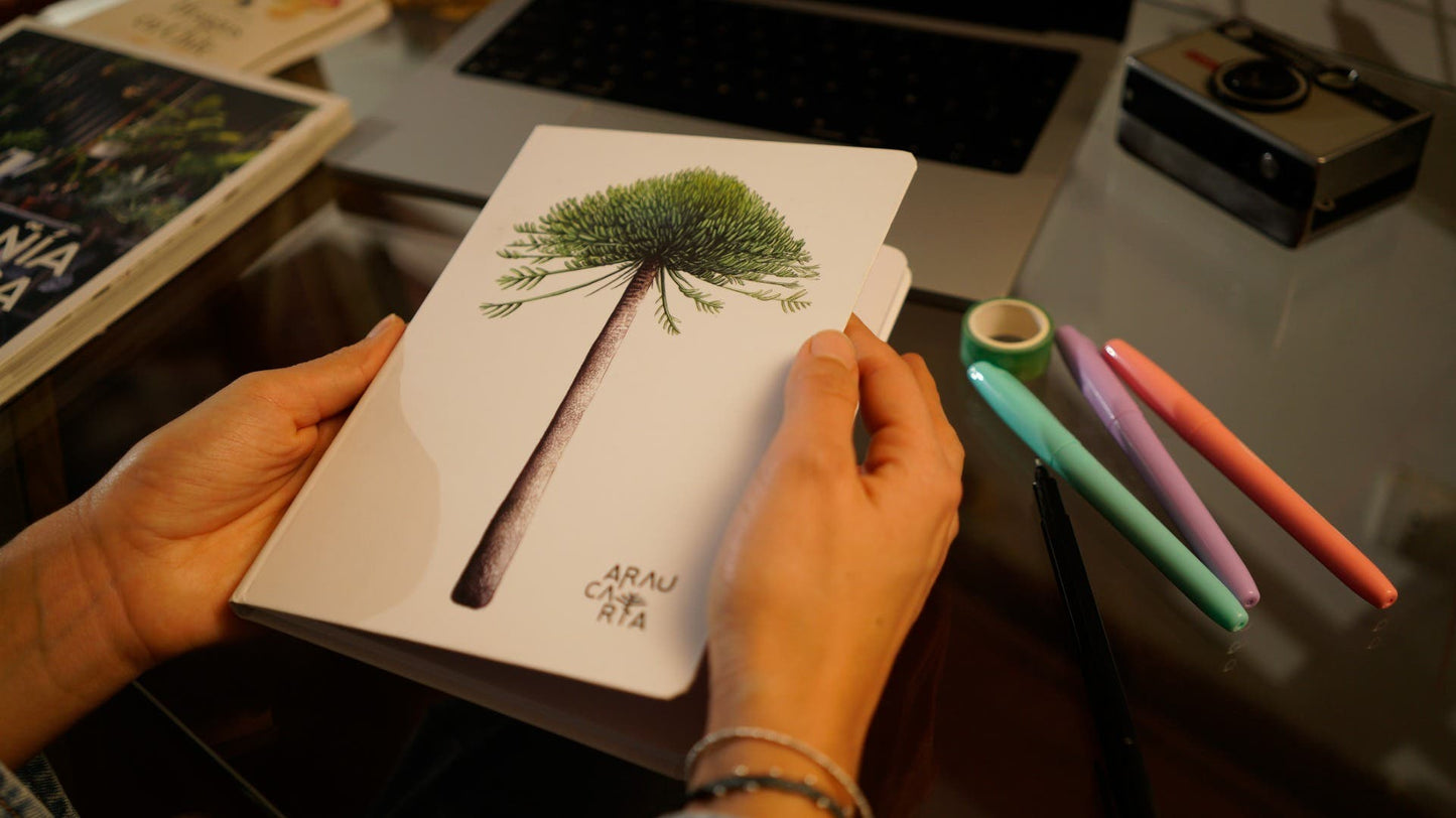 Lib. Lín. 14,8x21cm Araucaria Araucaria Artel Nacional Librería
