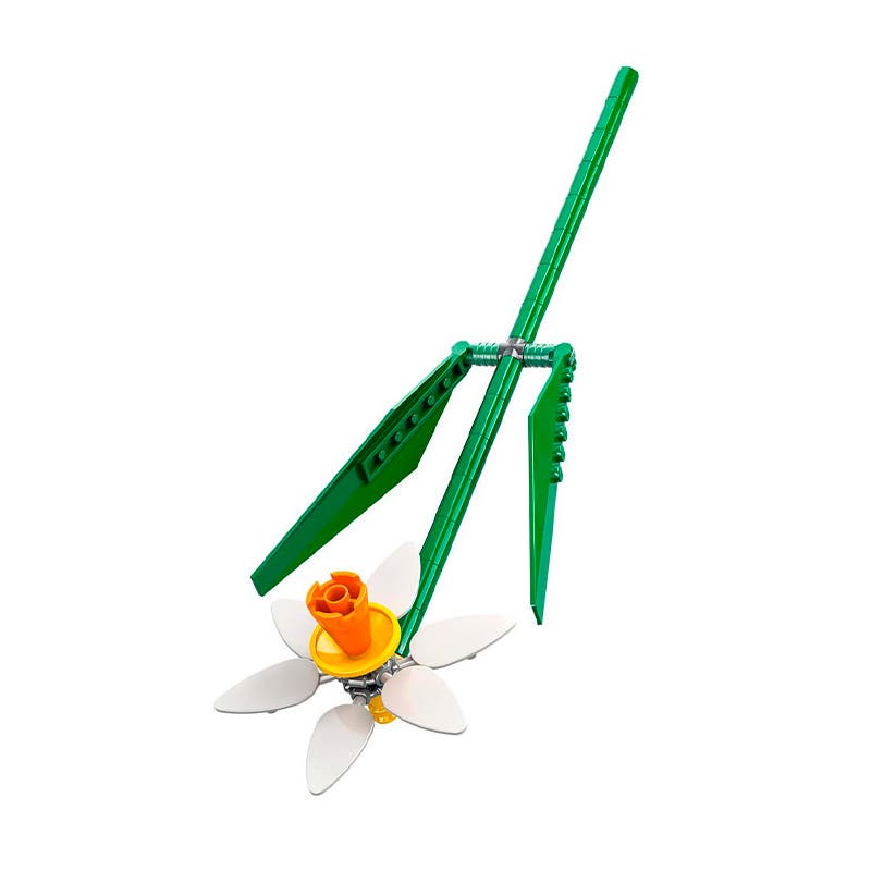 NARCISOS Lego Nacional Librería