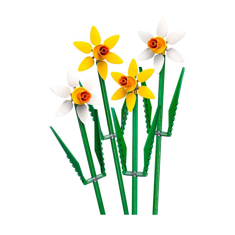 NARCISOS Lego Nacional Librería