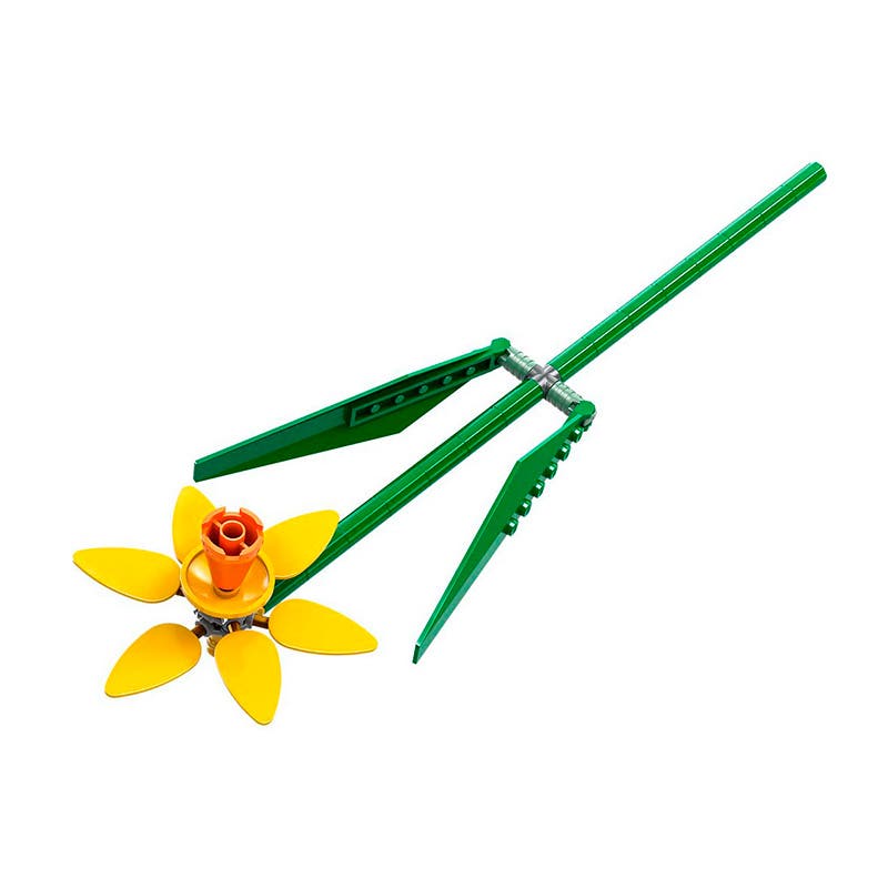 NARCISOS Lego Nacional Librería