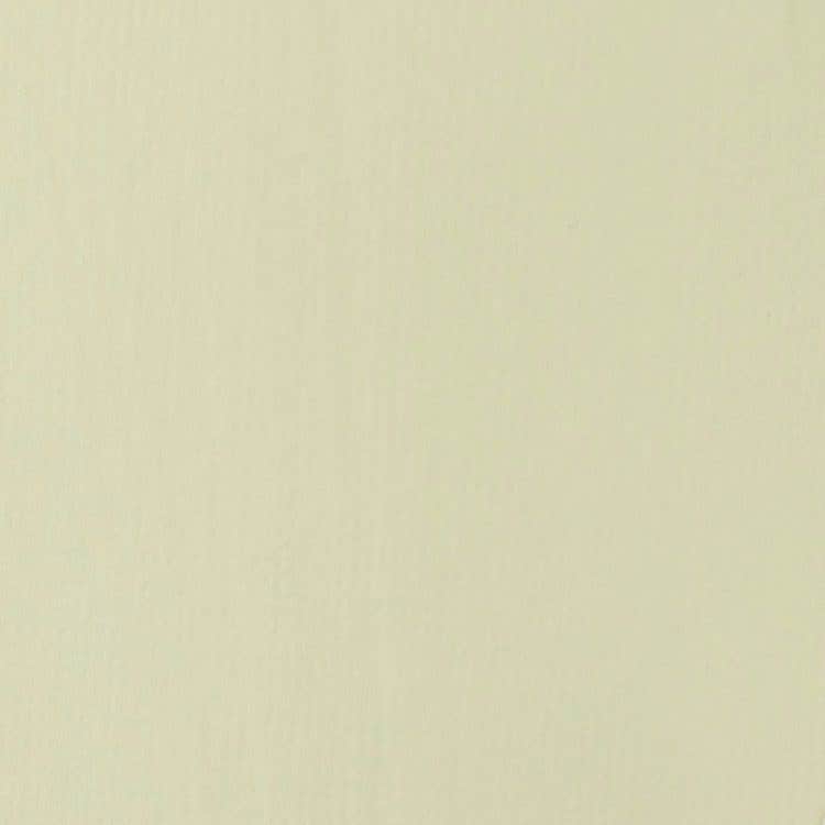PINT.ACRILICA BASIC PERGAMINO 118ML Liquitex Nacional Librería