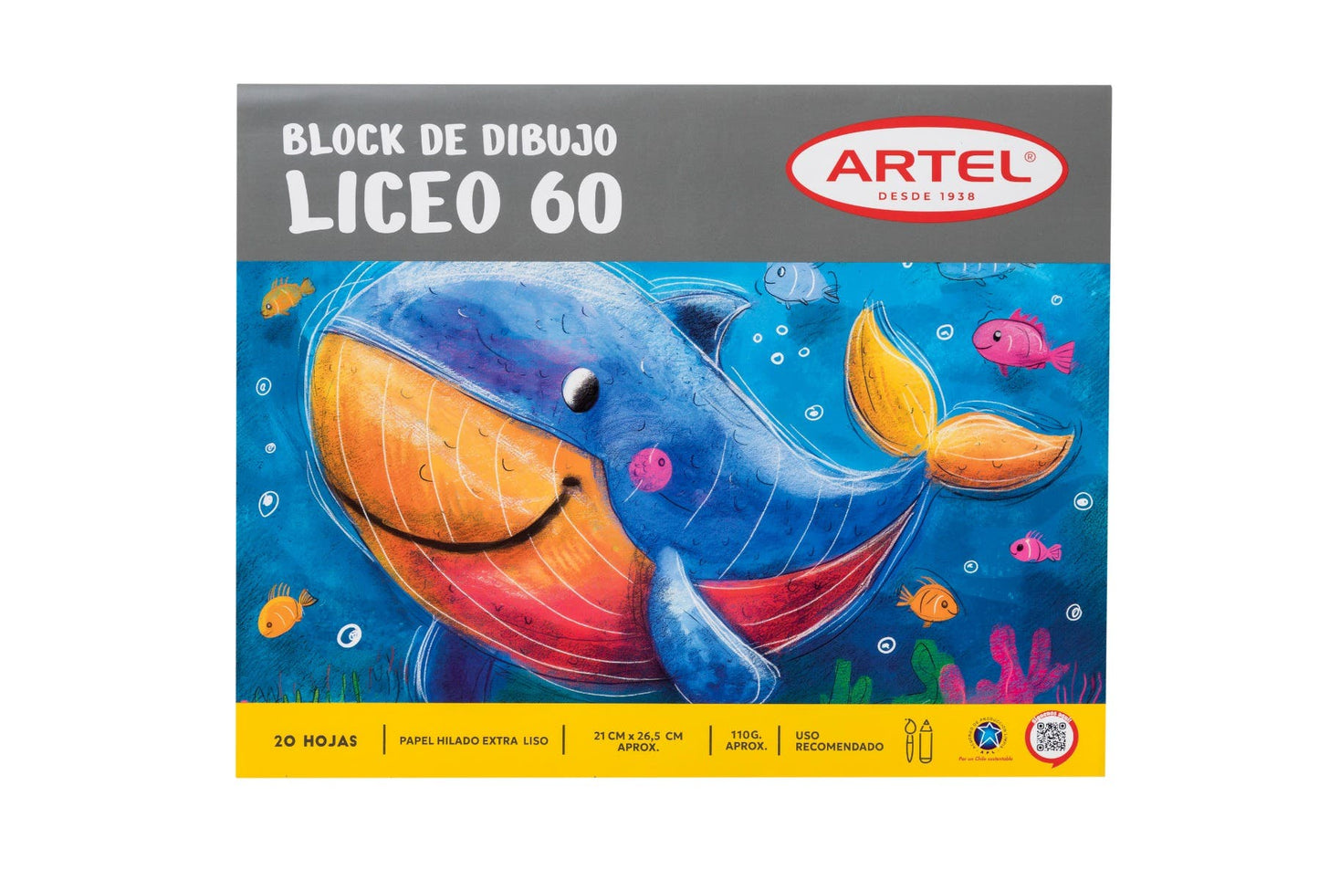 Block Liceo 60 20h
