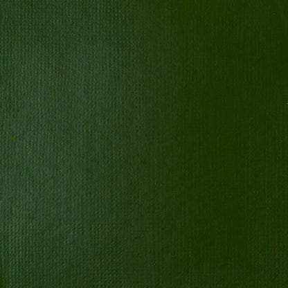 ACRÍLICO 224-HB-138ML VERDE HOOKER PERM