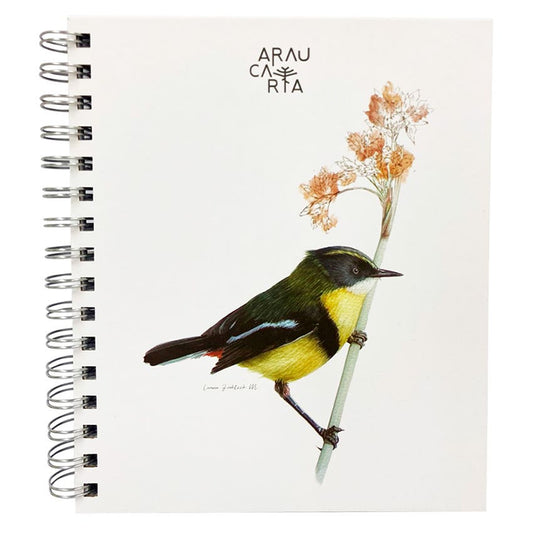 Cuad. 17,5x21cm Ave Ste. Clrs. Araucaria Artel Nacional Librería