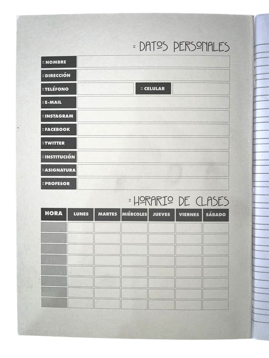 Cuaderno Proarte College Liso 100 Hojas Caligrafia Vertical Proarte Nacional Librería