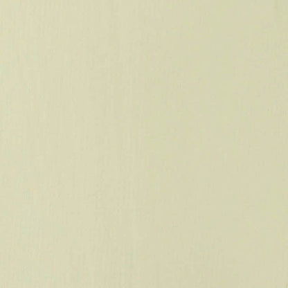 PINT.ACRILICA BASIC PERGAMINO 118ML Liquitex Nacional Librería