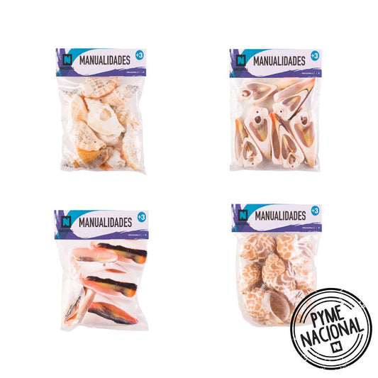 Set conchitas medianas 50 grs Np Manualidades Nacional Librería